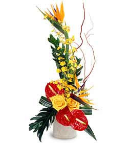  Tropical Bright Arrangement