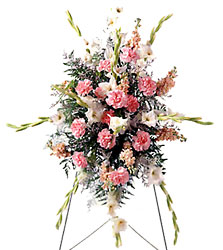  Pink Mixture Standing Spray
