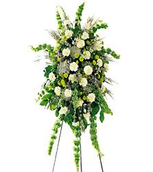  Splendor Standing Spray