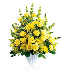  Glowing Ray Arrangement