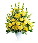  Glowing Ray Arrangement