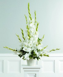 Traditional White Gladiolus  Spray