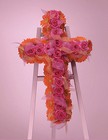 Roses and Gerbera Daisy Cross