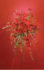 Red Standing Spray