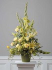 Complementary Yellow Arrangement