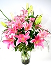 Sourbonn's Delight Flowers
