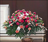 Delicate Pink Casket Spray Sympathy