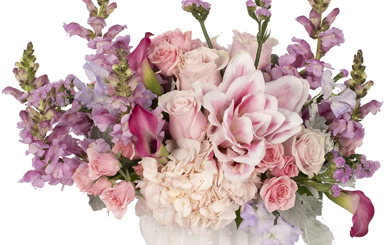 Shop for Mother's Day