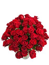 <H1> 100 Premium Red Roses </h1> from Mockingbird Florist in Dallas, TX