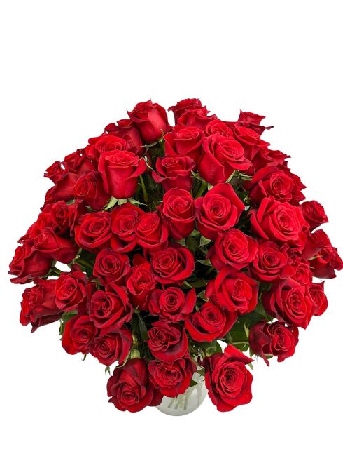 <H1> 100 Premium Red Roses </h1> from Mockingbird Florist in Dallas, TX