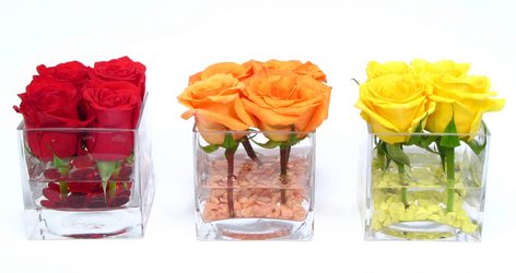 Simply Elegant from Mockingbird Florist in Dallas, TX