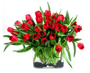 Just Tulips 30 Tulips from Mockingbird Florist in Dallas, TX