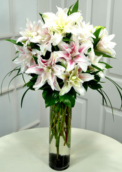 Rose Lillies - New Variety of Lily - Multi Petal from Mockingbird Florist in Dallas, TX