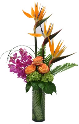 <H1> Bird & Orchids </H1>  from Mockingbird Florist in Dallas, TX