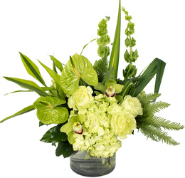 <H1> Evergreen Grace </h1>  from Mockingbird Florist in Dallas, TX