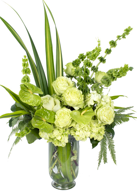 <h1> Emerald Meadows </h1>  from Mockingbird Florist in Dallas, TX