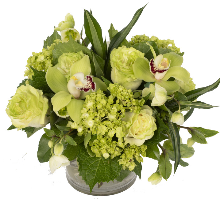 <H1> Lush Luck </h1>  from Mockingbird Florist in Dallas, TX
