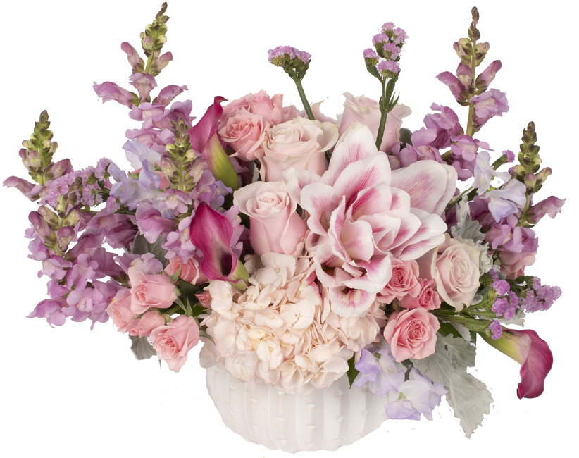 <H1> Blush and Bloom </h1>  from Mockingbird Florist in Dallas, TX