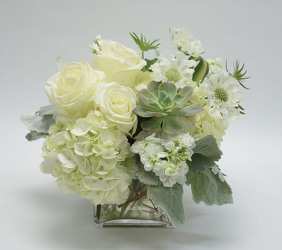 <h1>Winter White Flowers</h1> from Mockingbird Florist in Dallas, TX