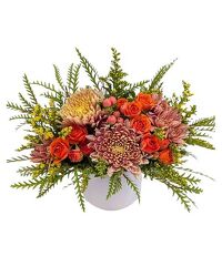 <H1> Harvest Moon </h1>  from Mockingbird Florist in Dallas, TX