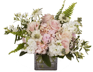 <H1> Pink Whisper </h1>  from Mockingbird Florist in Dallas, TX