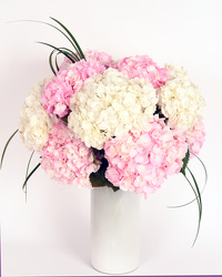 Pink & White Hydrangea  from Mockingbird Florist in Dallas, TX