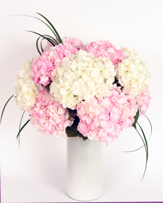 Pink & White Hydrangea  from Mockingbird Florist in Dallas, TX