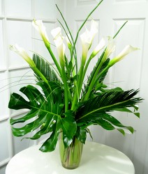 <h1> Heavenly Callas </h1> from Mockingbird Florist in Dallas, TX