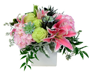 <h1> Fairy Garden </h1> from Mockingbird Florist in Dallas, TX