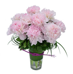<H1> Pave of Peonies </H1>  from Mockingbird Florist in Dallas, TX
