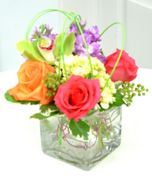 Sweetness  from Mockingbird Florist in Dallas, TX