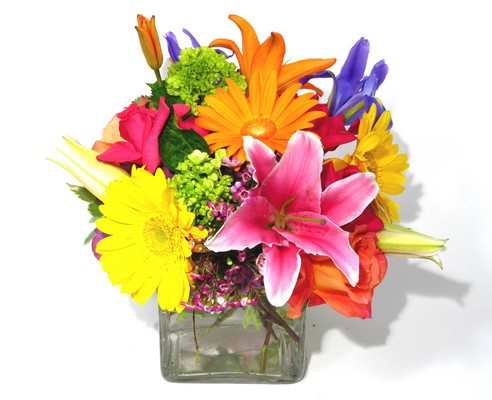 <H1> Acapulco </H1>              from Mockingbird Florist in Dallas, TX