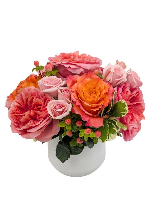 <H1> Apricot Lane </h1> from Mockingbird Florist in Dallas, TX