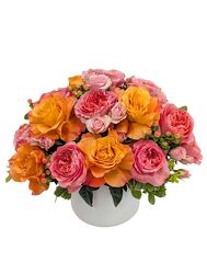 <H1> Premium Apricot Lane </h1> from Mockingbird Florist in Dallas, TX