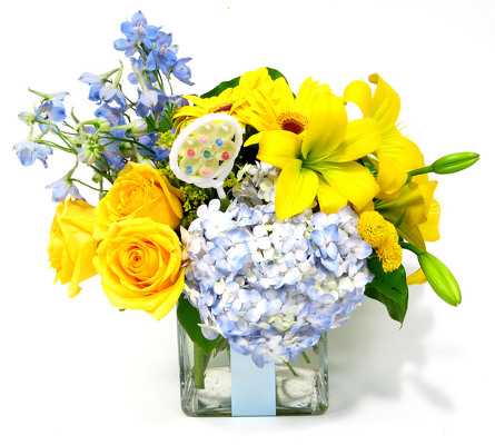 <H1> Baby Boy Celebration </H1> from Mockingbird Florist in Dallas, TX