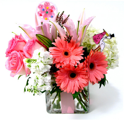 <H1> Baby Girl Celebration </H1> from Mockingbird Florist in Dallas, TX