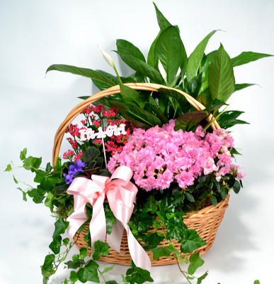 <H1> Large Baby Girl Garden Basket </H1>  from Mockingbird Florist in Dallas, TX