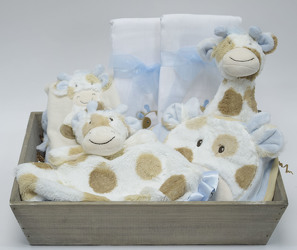 Grayson the Giraffe Gift Set by Maison Chic from Mockingbird Florist in Dallas, TX