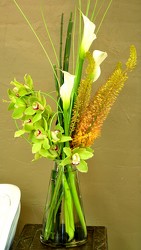 Island Orchids from Mockingbird Florist in Dallas, TX