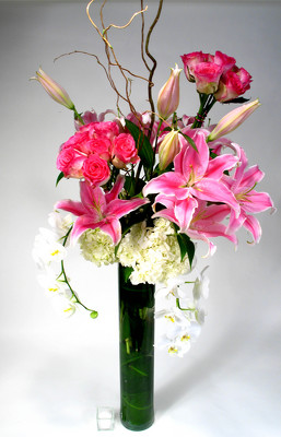 Grace Kelly - Wow Wow  Fabulous     from Mockingbird Florist in Dallas, TX