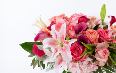 <H1> Designers Choice Arrangements </H1> from Mockingbird Florist in Dallas, TX