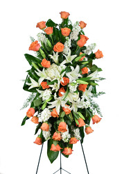 <H1> Angels on high </h1>  from Mockingbird Florist in Dallas, TX