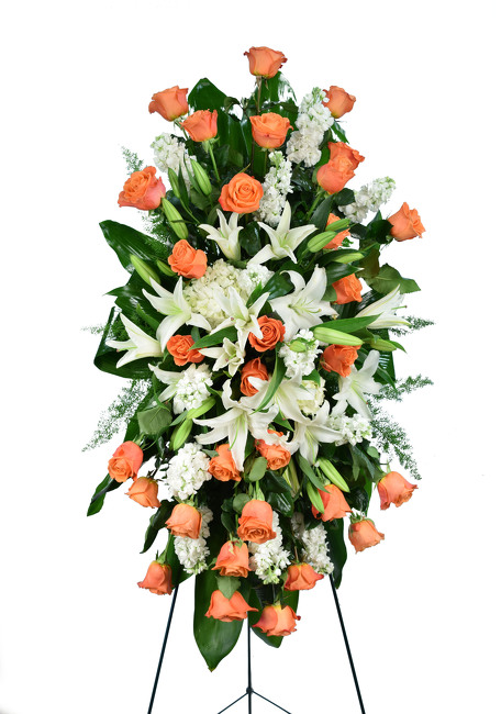 <H1> Angels on high </h1>  from Mockingbird Florist in Dallas, TX