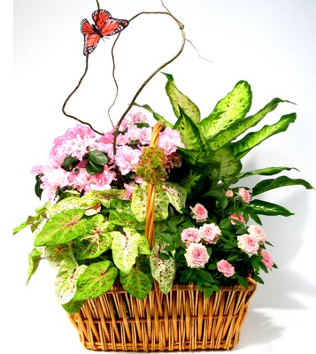 <h1> Sympathy In Pink </h1> from Mockingbird Florist in Dallas, TX