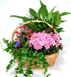 <h1> Large Garden Basket </h1> from Mockingbird Florist in Dallas, TX
