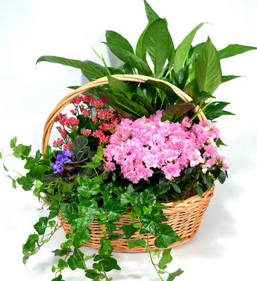 <h1> Large Garden Basket </h1> from Mockingbird Florist in Dallas, TX