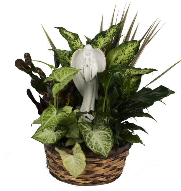 <H1> Angel's Garden Basket </h1> from Mockingbird Florist in Dallas, TX