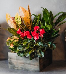 Four Seasons of Serenity from Mockingbird Florist in Dallas, TX