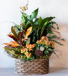 Enchanting Quartet from Mockingbird Florist in Dallas, TX