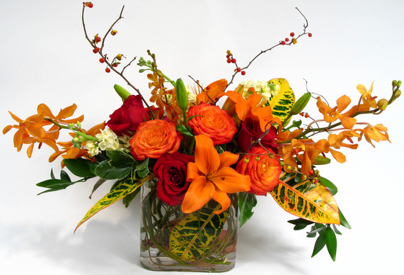<H1> Nutmeg </H1>  from Mockingbird Florist in Dallas, TX